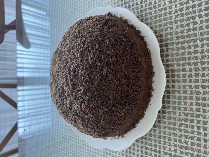 Köstebek Pastam Nasıl olmuş?