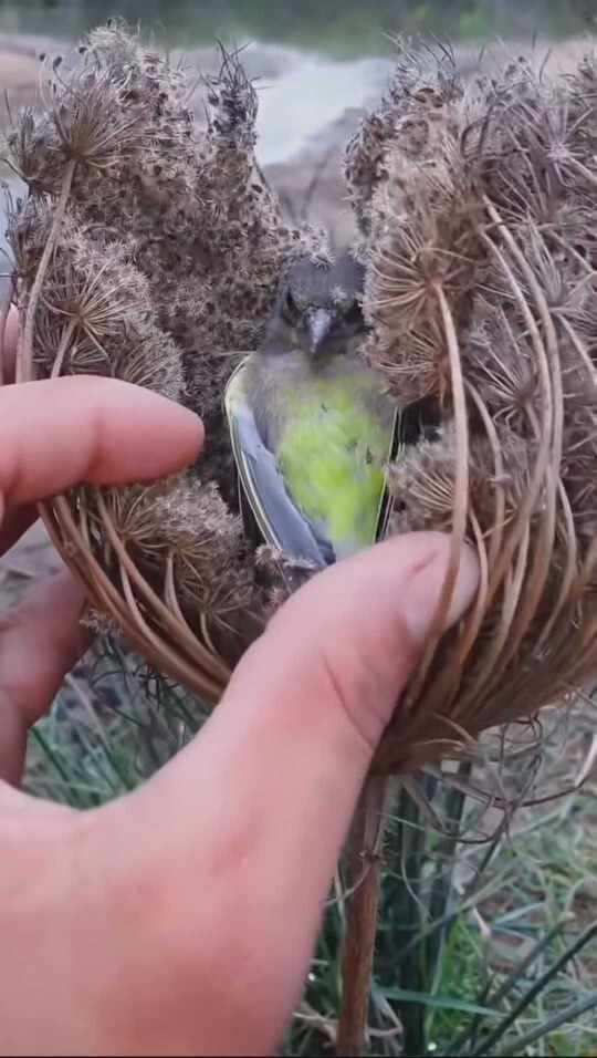Siz de bu hayatta insan olmak değil de, başka bir varlık olmak ister miydiniz?