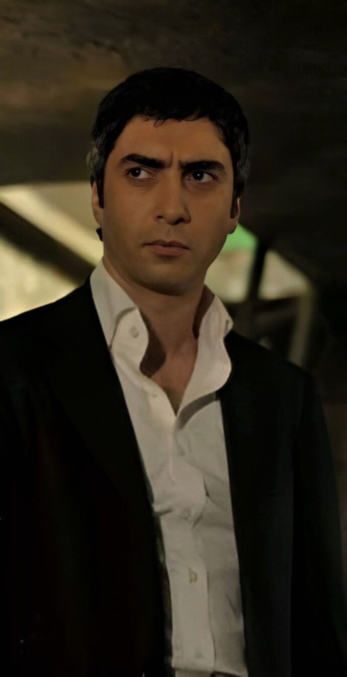 Sizce Polat Alemdar karizma mı kaç puan verir siniz?