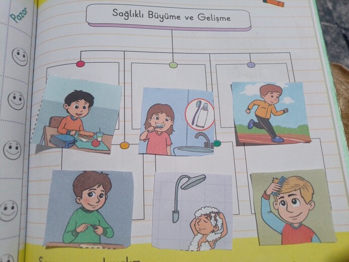 Sağlıkli buyume ve gelişme için doğru sıralama nasl olmali?
