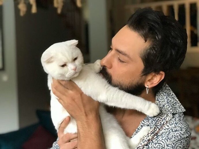 Sevdiğiniz kişinin hayvan sevmemesi iter mi yoksa sizi çeker mi?