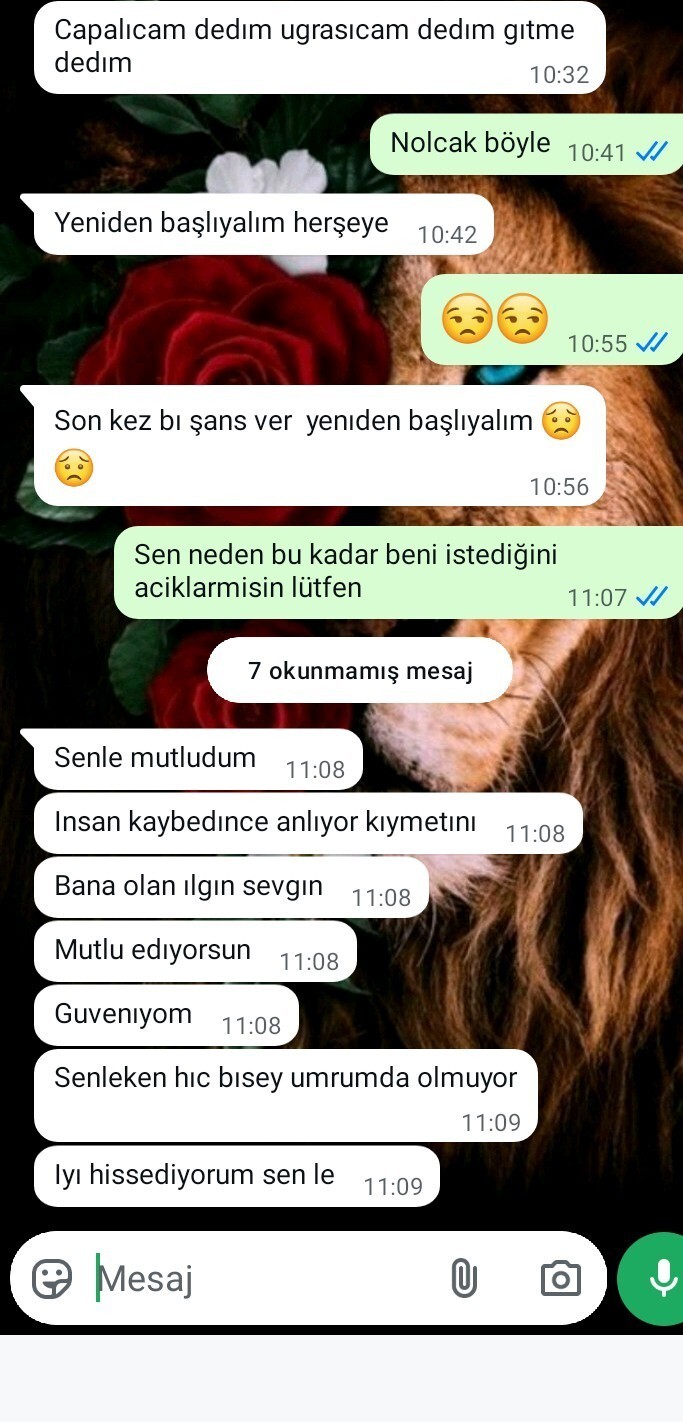 Eski sevgilinin tekrar şans istemesi sizce?