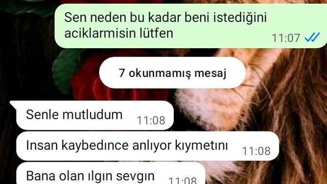 Eski sevgilinin tekrar şans istemesi sizce?