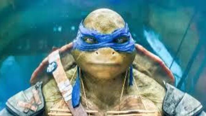 En sevdiğiniz Ninja Turtle karakteri hangisiydi?