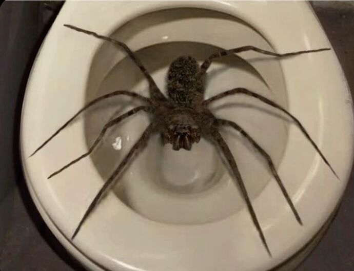 Gece uyurken gizli böcek varsa nasıl korunucaz?