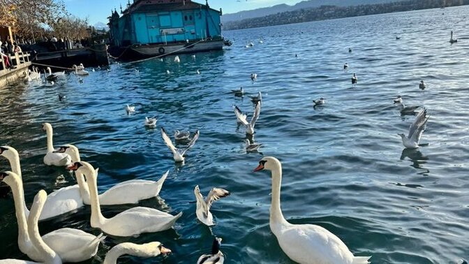 Burada kahve içmek istediğiniz birileri var mı?