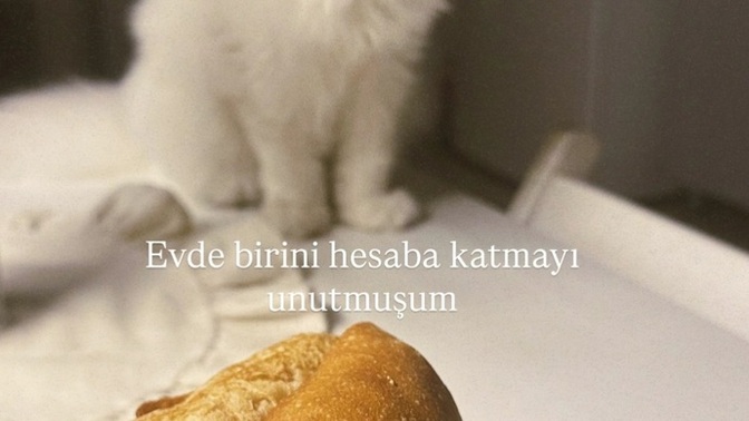 Evde yemeğinize ortak olan var mı?