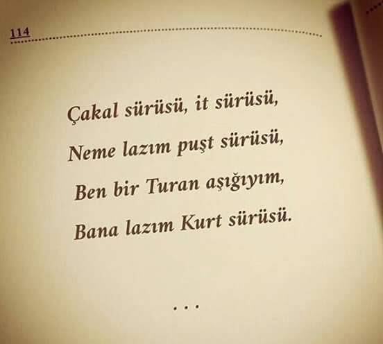 Söyle TÜRK olanlar kendini belli etsin bakalim?