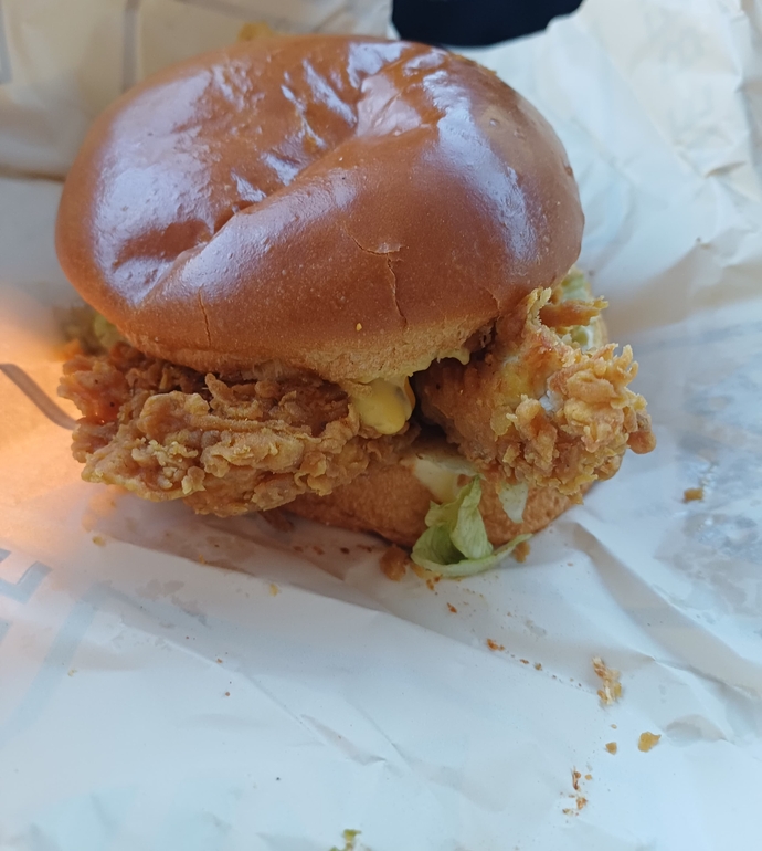 Hamburger sever miyiz?