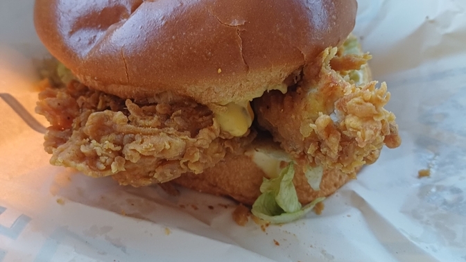 Hamburger sever miyiz?
