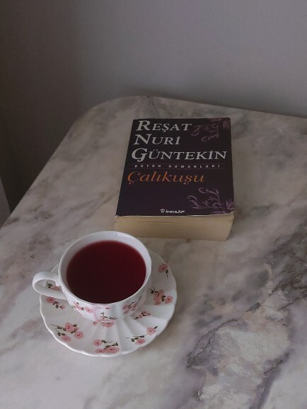 Şu an okuduğunuz bir kitap var mı, varsa ne?