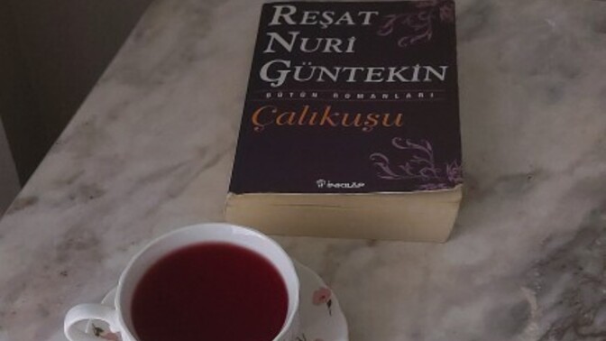 Şu an okuduğunuz bir kitap var mı, varsa ne?