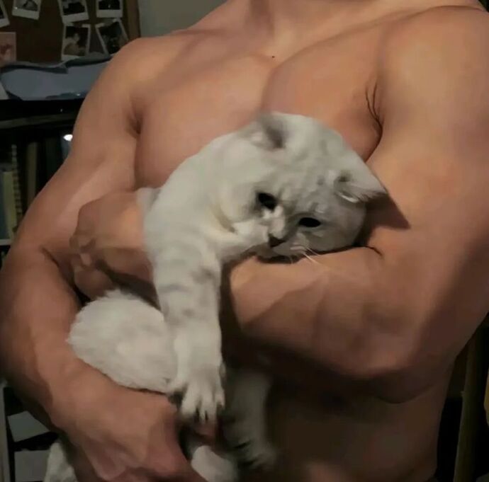 Kedi olsaydınız size gel pisipisi der miydim soyliyim mi?