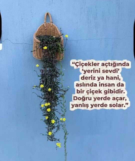 Doğru yerde misiniz?