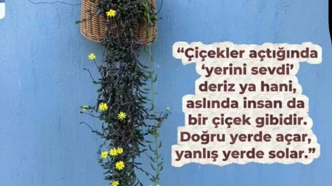Doğru yerde misiniz?