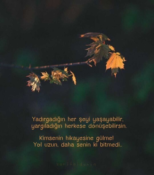 Bir insanın hayatını anlamadan yargılamak ne kadar doğru olabilir sizce?