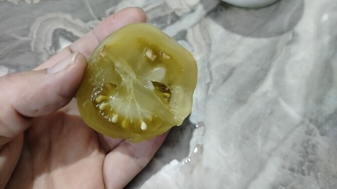 Yeşil domates turşusunun yanında ne yenir?