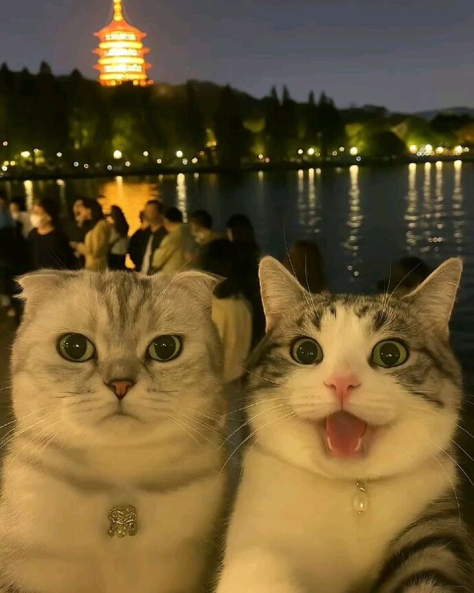 Kişi kişi hayret bişey