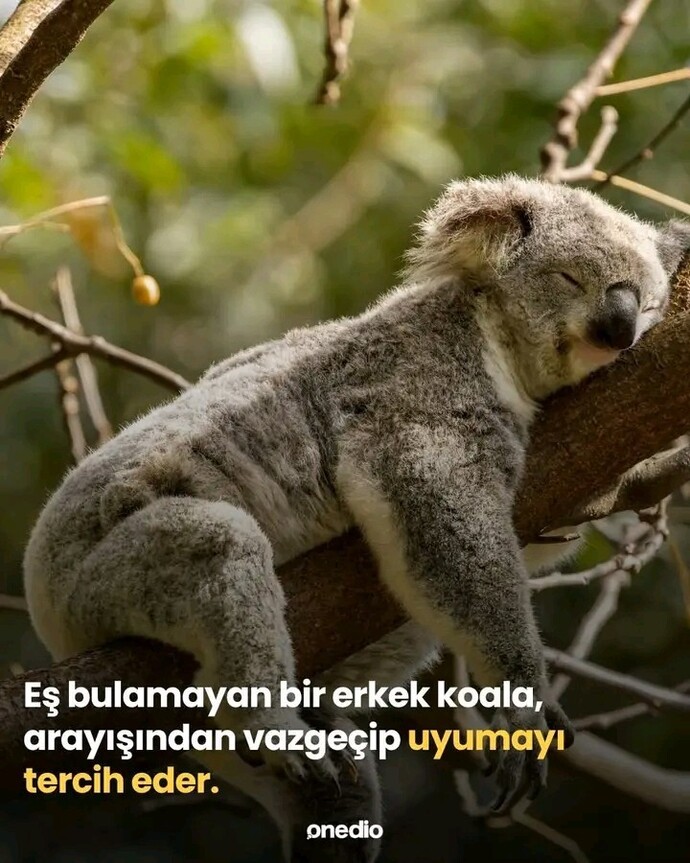 Eş arıyor musunuz?