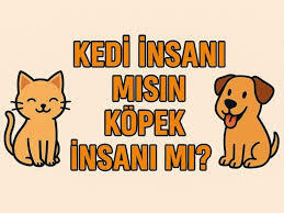 Kedi insanı mısınız, yoksa köpek insanı mı?