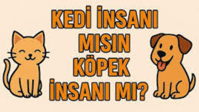 Kedi insanı mısınız, yoksa köpek insanı mı?
