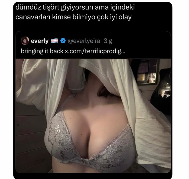 Kadınların içindeki canavar giyimi bilen var mı?