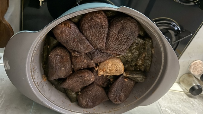 DOLMA SEVERMİSİNİZ BAKEM ya da  sarma?