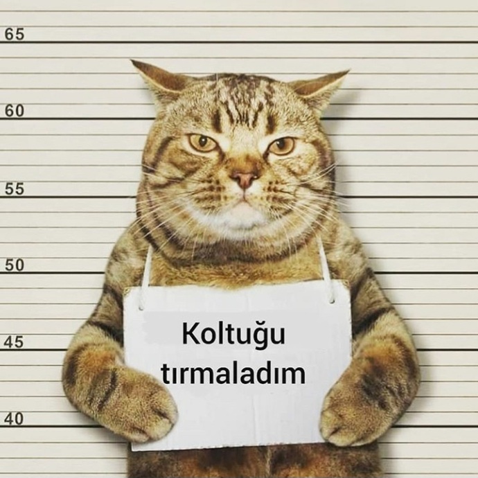 En son hangi suçu işlediniz?