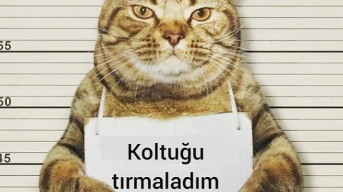 En son hangi suçu işlediniz?