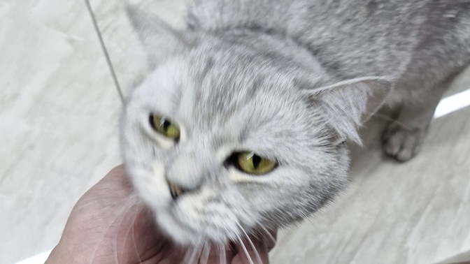 Hayvanlarla aranız nasıl 🤔?