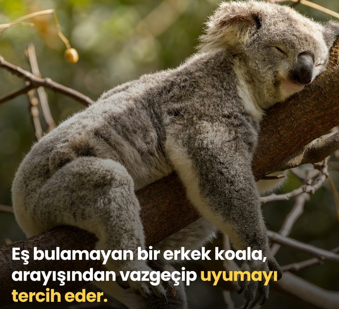 Yalnız hissedince ne yapıyorsunuz?
