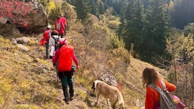 Dağ yürüyüşü ve beraberinde kamp yaptığınız oldu mu? Zorlukları neydi?