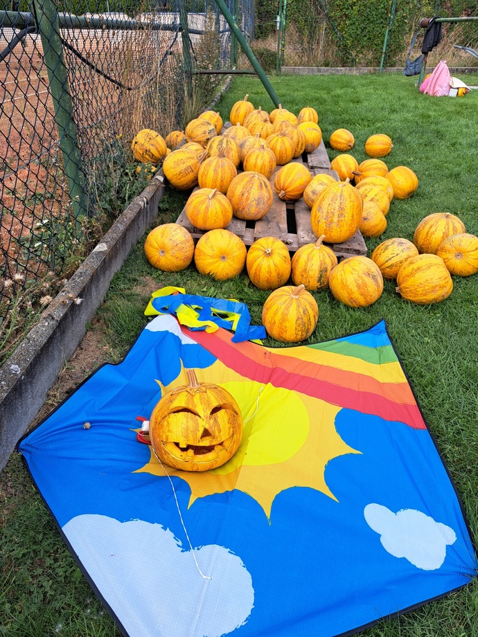 2 dkmiz var 🎃