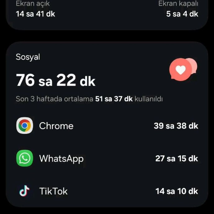 Ekran süreniz kaç saat?