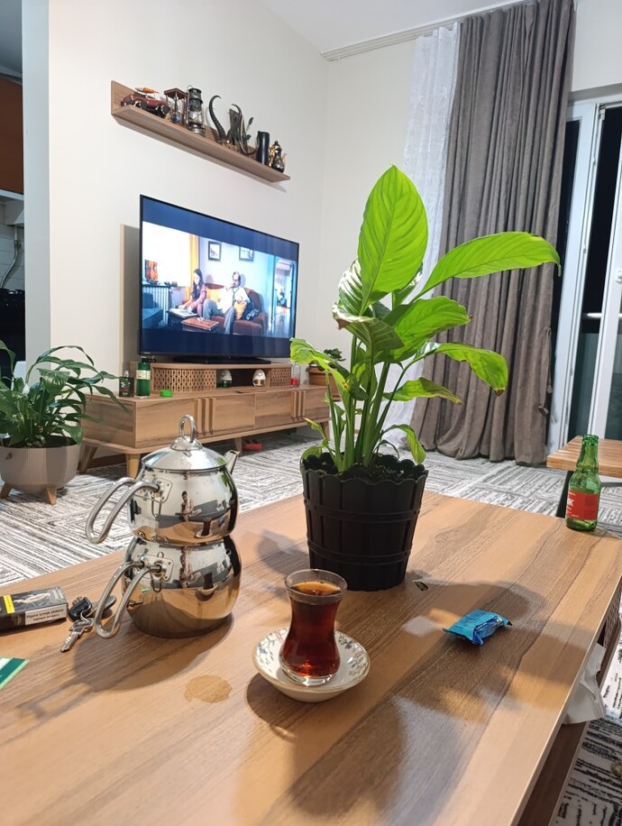 Tek başına iken Çay demler misin? Yoksa sallama mi?