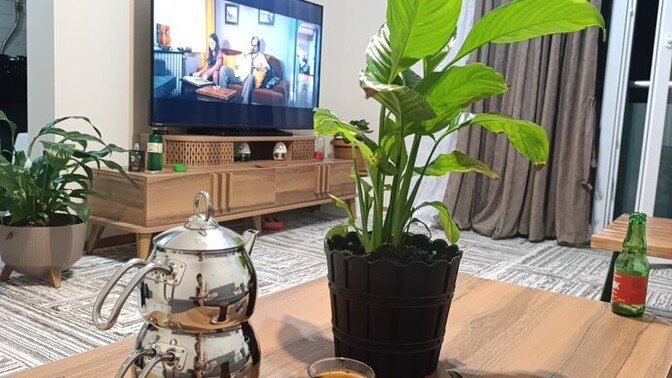 Tek başına iken Çay demler misin? Yoksa sallama mi?