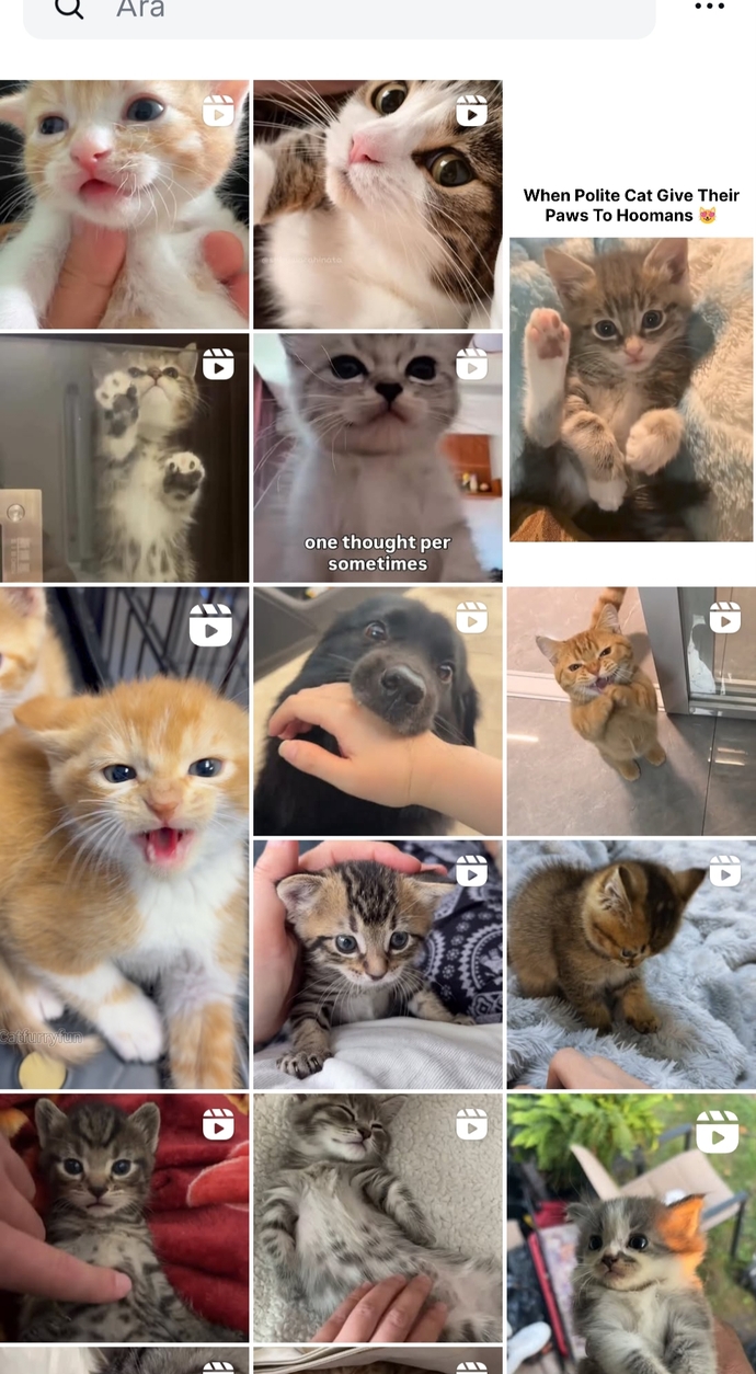 Instagram keşfetim niye böyle ya?