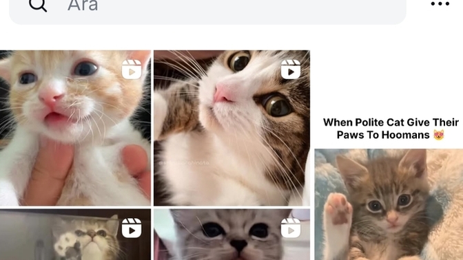 Instagram keşfetim niye böyle ya?