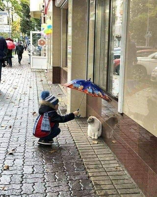 Empati yeteneğiniz güçlü mü?