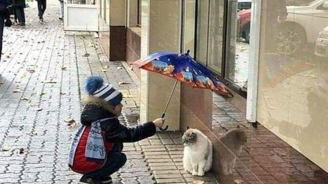 Empati yeteneğiniz güçlü mü?