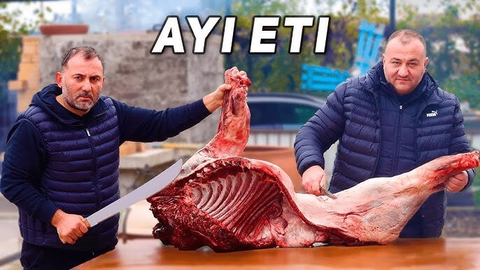 Ayı eti severmisiniz?