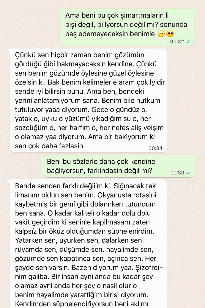 Bir insanı delicesine, taparcasına sevdiniz mi hiç ya da sevildiniz mi?