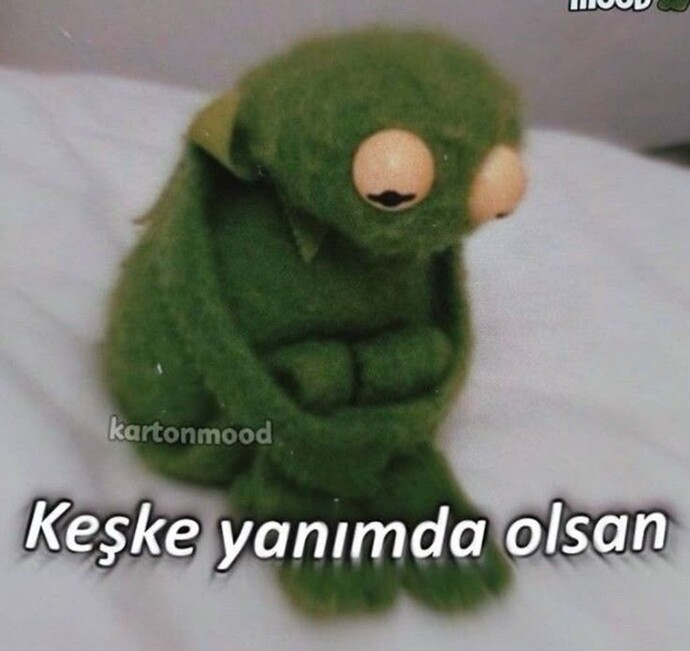 Keşke yanımda olsa dediğiniz var mı?