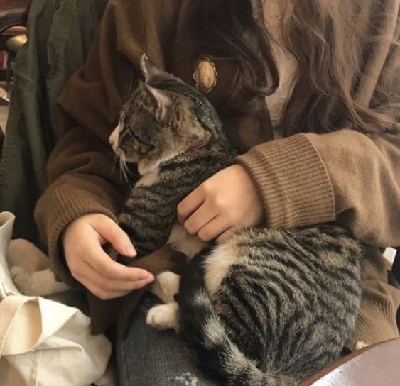 Kediler konuşsaydı sizce bize neler anlatırdı?