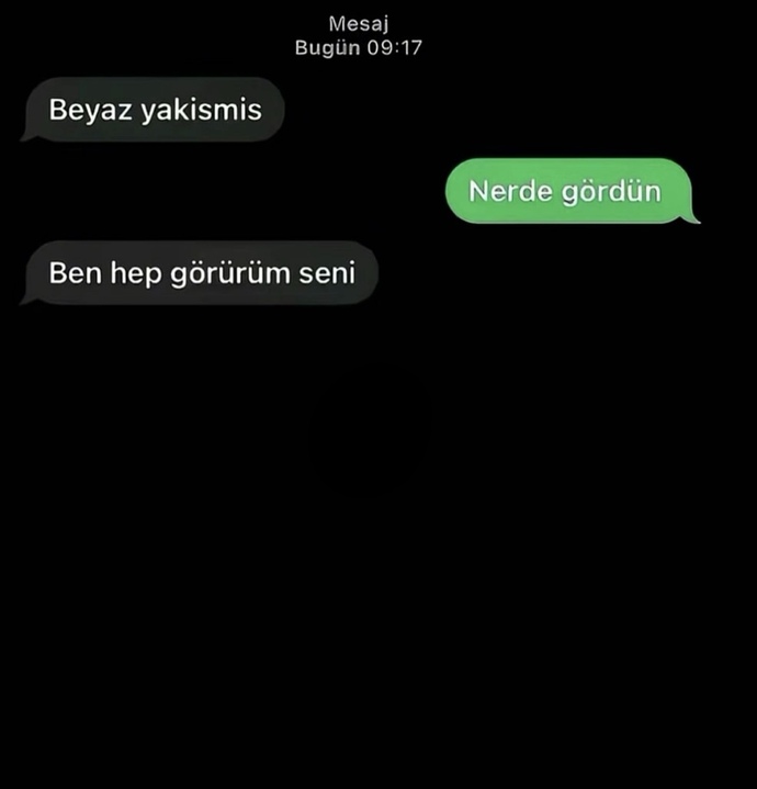 Siz hiç bir mesaja kitlenip kaldınız mı?