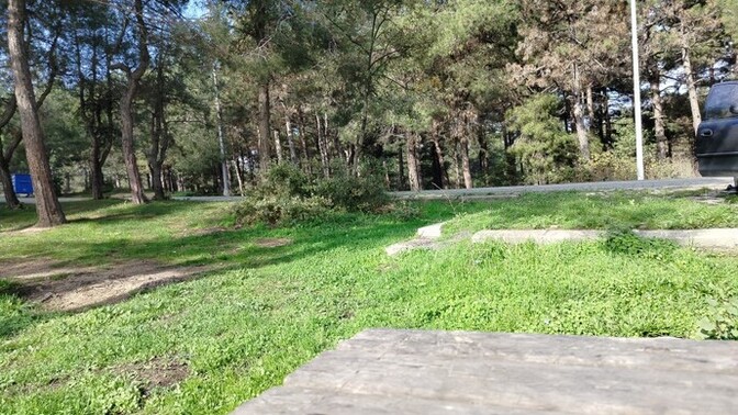 Pekii şu an üstündeki kıyafete göre seninle ormanda yürüyüş yapsaydım, üstünde hangi kıyafet olurdu?