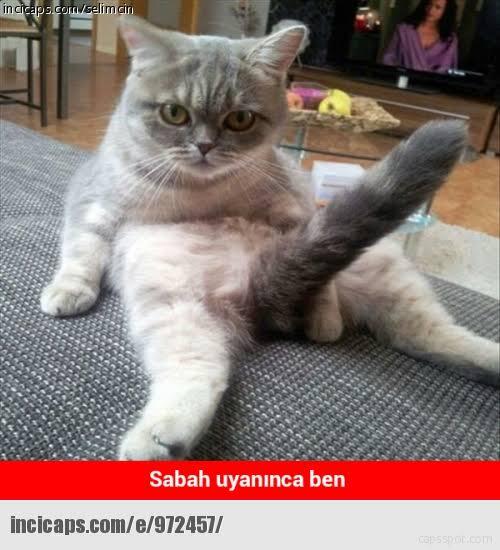 Bu sabah nasıl uyandınız?