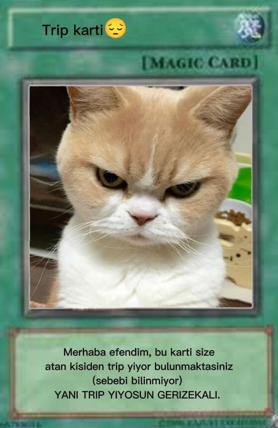 Trip atmayan kadın sevmiyordur diyebilir miyiz?