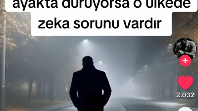 Evet var dimi millet iyi değil kafanız sizce?