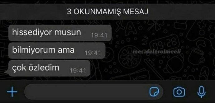 Şöyle bir mesaj gelse cevabınız ne olur?